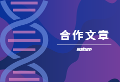 登顶Nature|产量+抗性，鱼和熊掌也可兼得