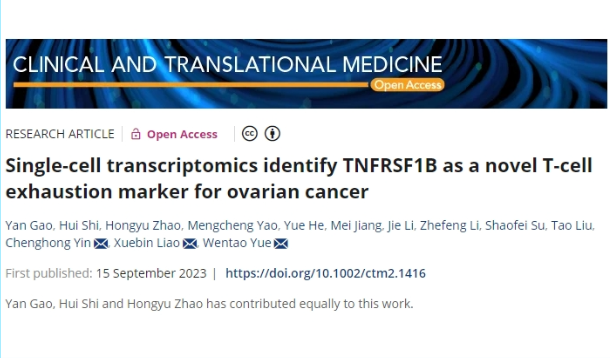 合作文章|单细胞测序揭示卵巢癌新型耗竭T细胞标志物